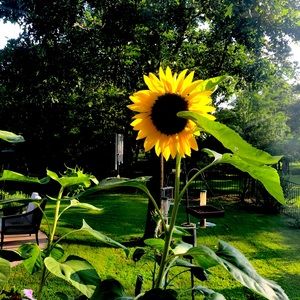 Meet your Posher, Cristina